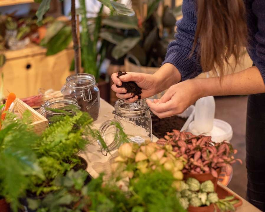 terrarium floral team building maroc