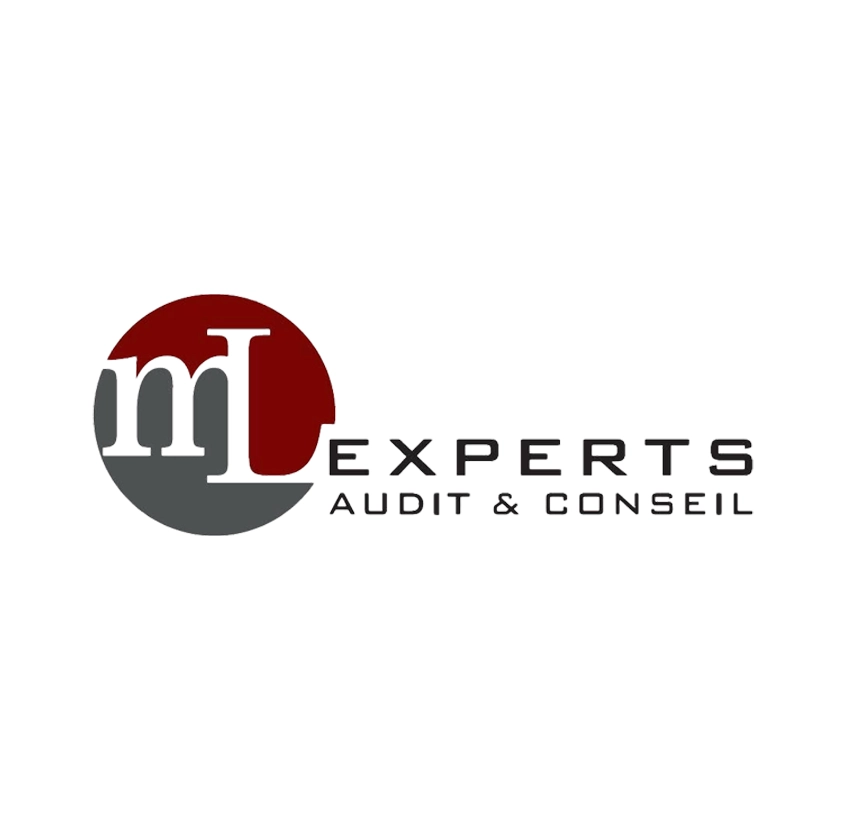LOGO MLEXPERTS