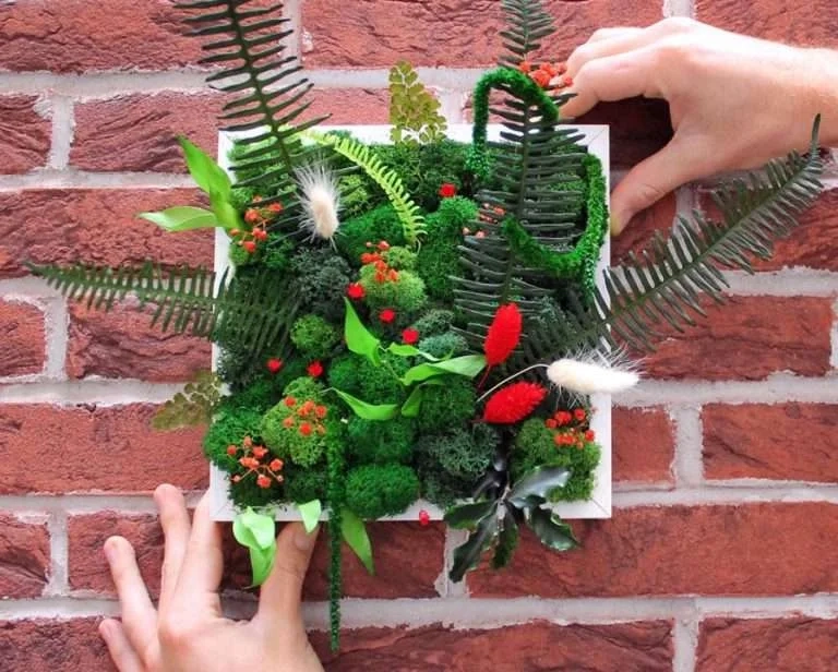 TEAM BUILDING MAROC 6 cadre vegetal team building rse maroc